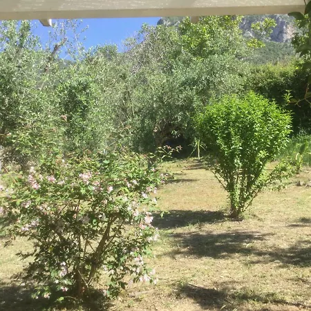 The Cabin, Casa vacanze *