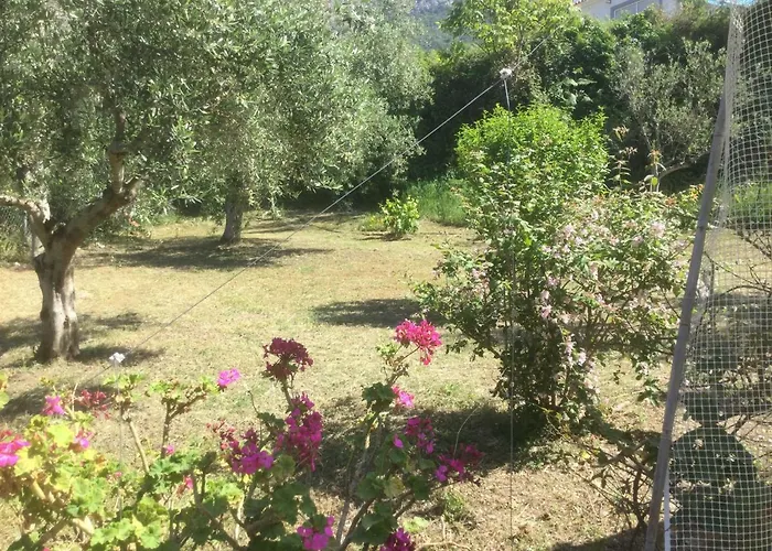 The Cabin, Prázdninový dům