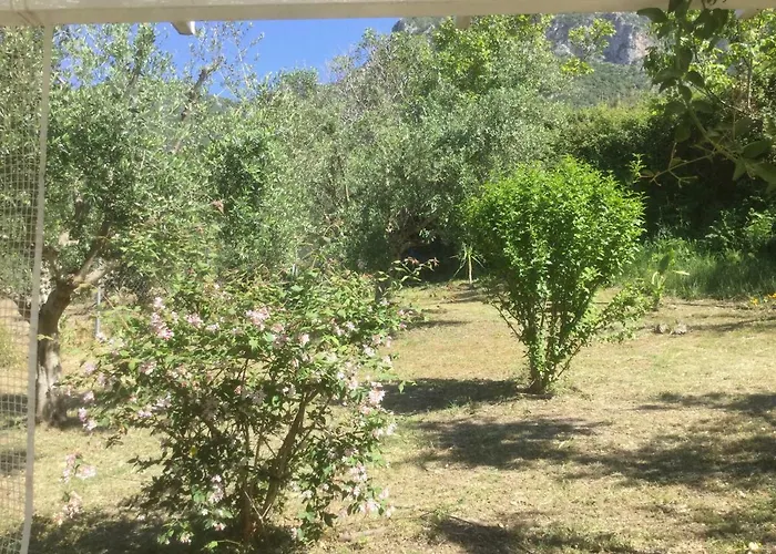 The Cabin, Dom wakacyjny *